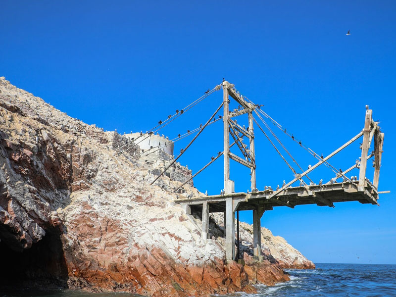 Tour Islas Ballestas desde Paracas