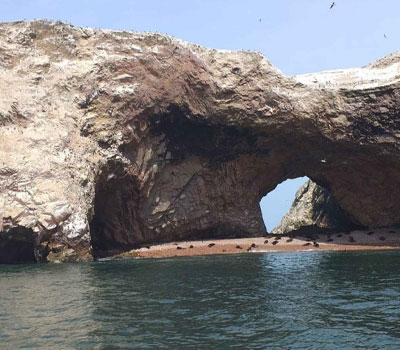 Tour Islas Ballestas desde Paracas
