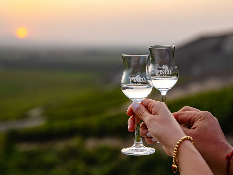 Tour Viñedos y Rutas del Pisco