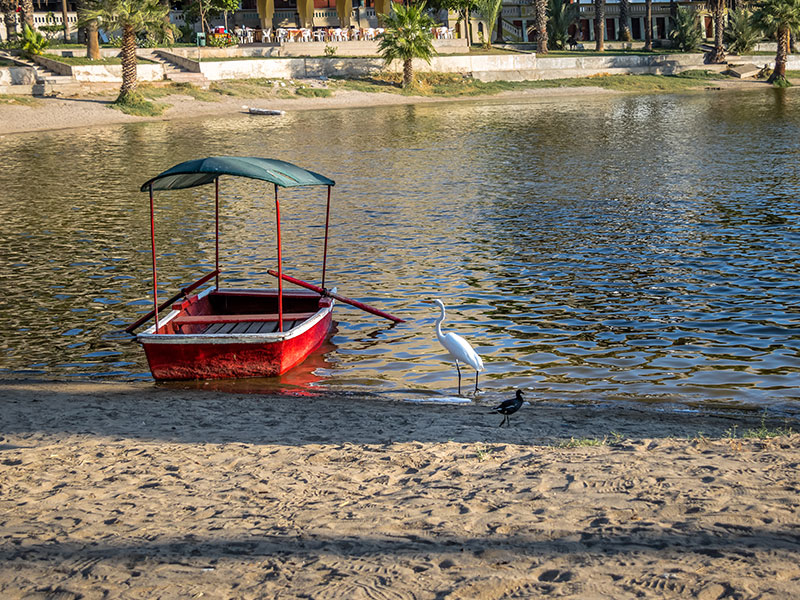 Laguna de Huacachina